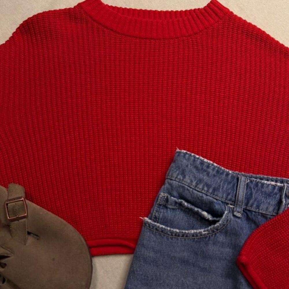 Wild-fable Women's Red Jumper